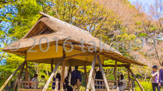 つつじ茶屋も大勢の人がのんびり休憩していました。