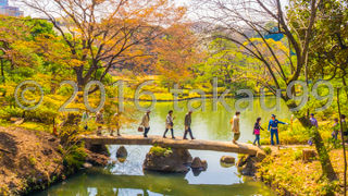 渡月橋も渡るのに待ちができていました。