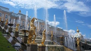 11時からのショーが楽しい