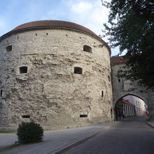 ふとっちょマルガレータです