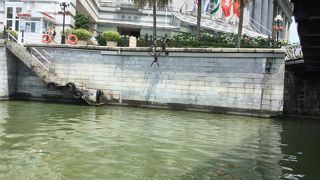 リバークルージングを楽しみました