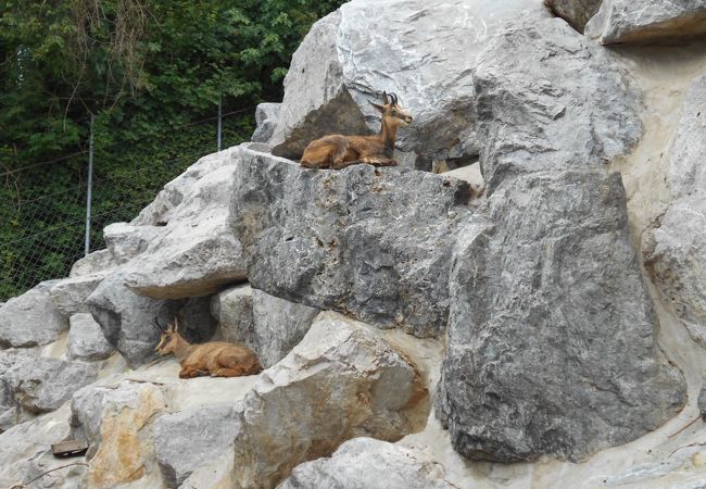 アルプス動物園