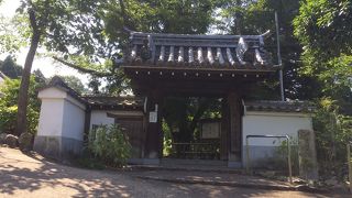 南国のような庭