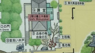 見るものが密集しています