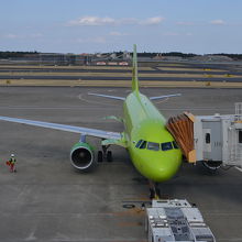 期待は黄緑でド派手。目を引きます。