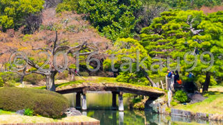 出汐湊からだとこの美しいアーチ橋をよく見ることができます。