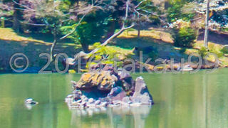 小さいのでよく見ないと見落とします。