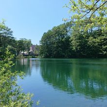 散策路から見た柳沼