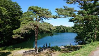 物産館の目の前