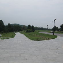 木陰がない。地面の照り返しが半端ない！