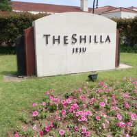 駐車場がどこかよくわからず