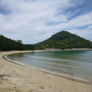 今年も夏がきまーす