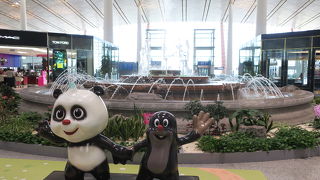 とてもきれいです