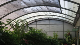 空港で遊べます