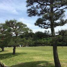 とてもきれいに清掃されています