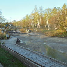周囲は遊歩道が整備されています