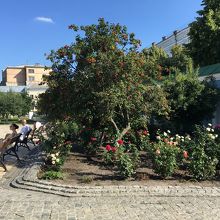 手入れされた敷地のお庭。空気が気持ちいいです。