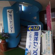酒田海洋センター クチコミ アクセス 営業時間 酒田 フォートラベル