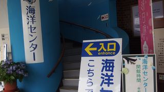 船の模型がすごい