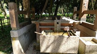 天橋立神社の横