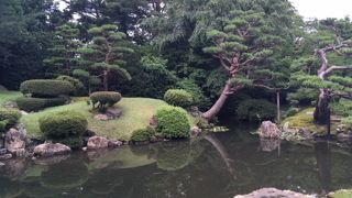落ち着いた雰囲気の日本庭園