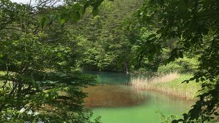 うっすら赤いか？