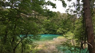 その名の通りもっとも青い