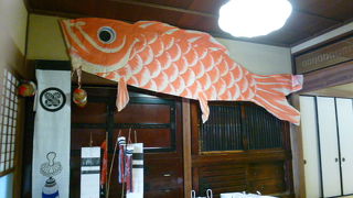 萩の街・散策楽しいわー