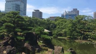 池の周りを歩く