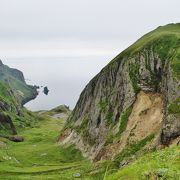 「花の浮島」礼文島最大の高山植物スポット