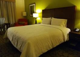 Hilton Garden Inn Panama City Downtown, Panama 写真