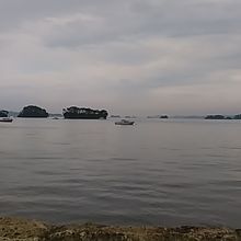 松島湾には大小260もの島があります