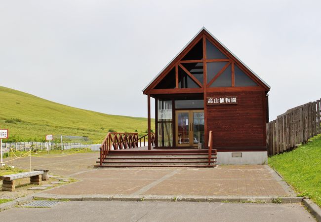 礼文町高山植物園 クチコミ アクセス 営業時間 礼文島 フォートラベル 礼文町高山植物園 クチコミ アクセス 営業時間 礼文島 フォートラベル