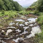 鉱泉(温泉)と苔の美