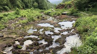 鉱泉(温泉)と苔の美