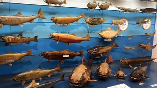 期待してなかったが良かった