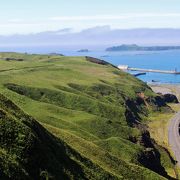 スコトン岬の手前、トド島を望む展望台