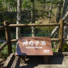 池の周囲は木道が整備されています