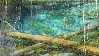 まさに神さまからの贈り物（神の子池）