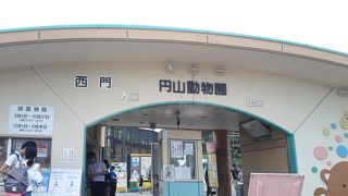 円山動物園