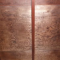 屋久杉天井模様