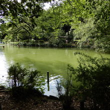 東京を東西に貫く神田川の水源 By てくてく 井の頭池のクチコミ フォートラベル 東京を東西に貫く神田川の水源 By てくてく 井の頭池のクチコミ フォートラベル