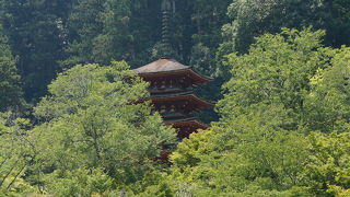 緑の木々に映えた五重塔