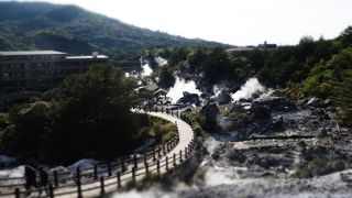 蒸気と硫黄臭漂う綺麗な公園 ♪
