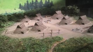 リニューアルオープンしました。