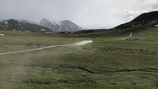 広大な公園です