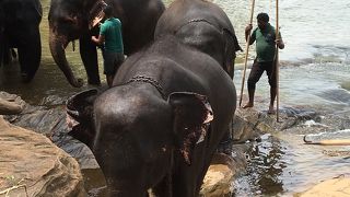 水浴びの時間の確認を