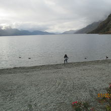 湖畔で、女の子がカモと遊んでいました