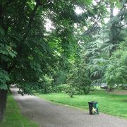 広々とした緑豊かな公園