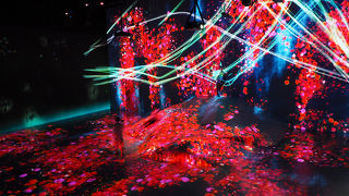 究極の没入体験その美しさは想像をはるかに超える